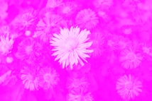 Nagy�tott k�p